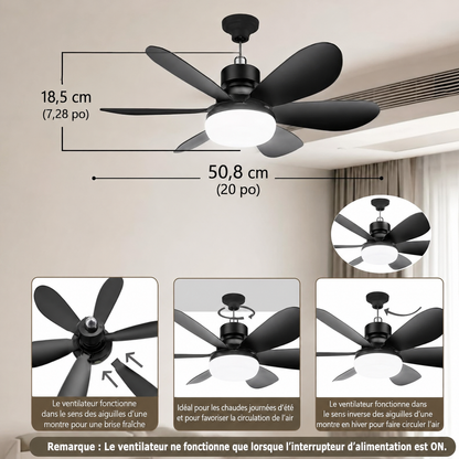Naxovya - Ventilateur de plafond avec télécommande